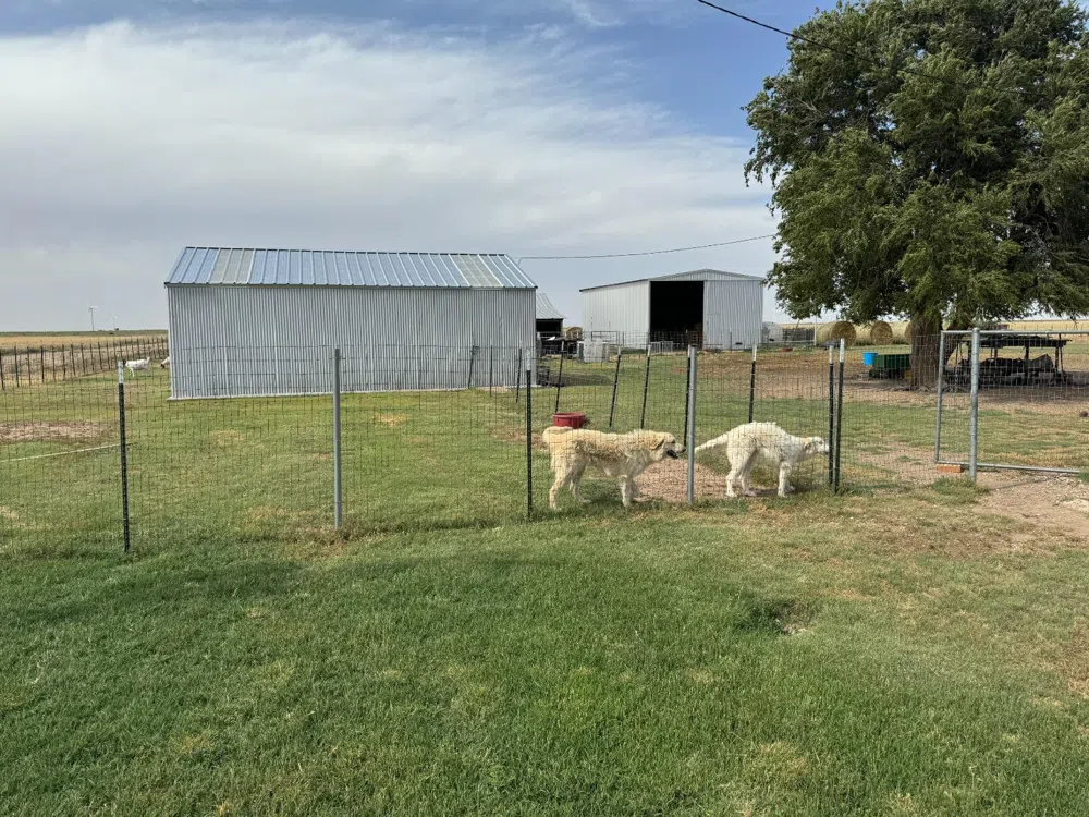 2511 US Highway 70 Floydada, TX 79235