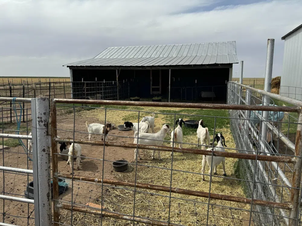 2511 US Highway 70 Floydada, TX 79235