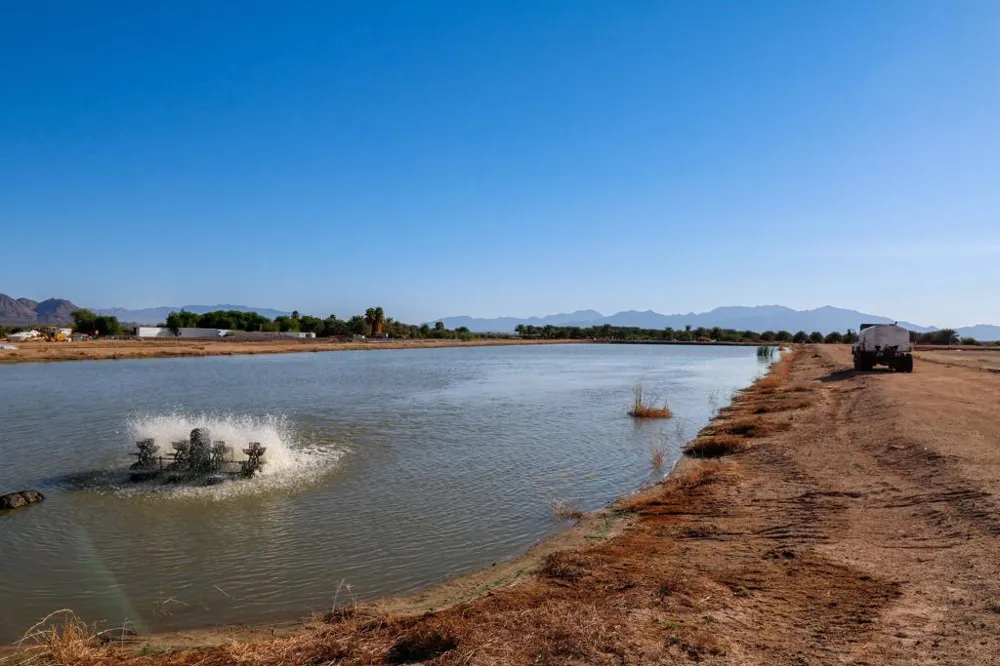 24511 Rice Rd Desert Center, CA 92239
