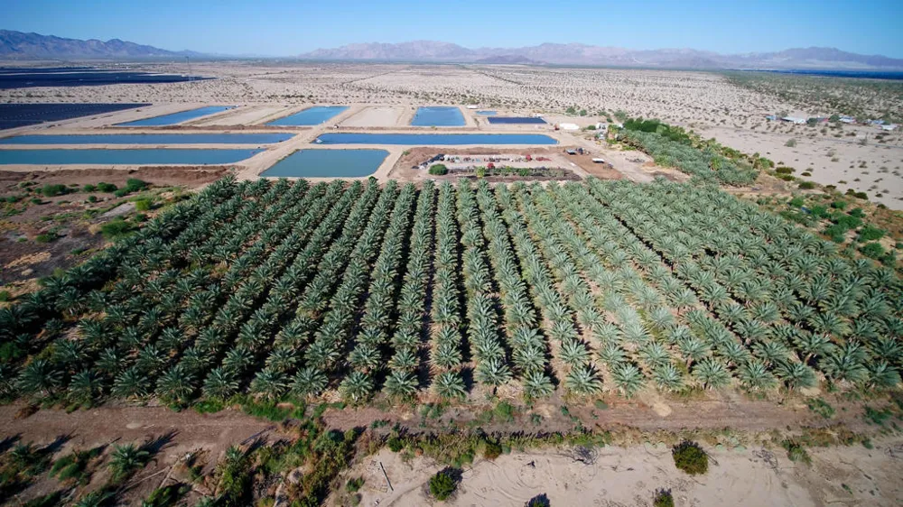 24511 Rice Rd Desert Center, CA 92239
