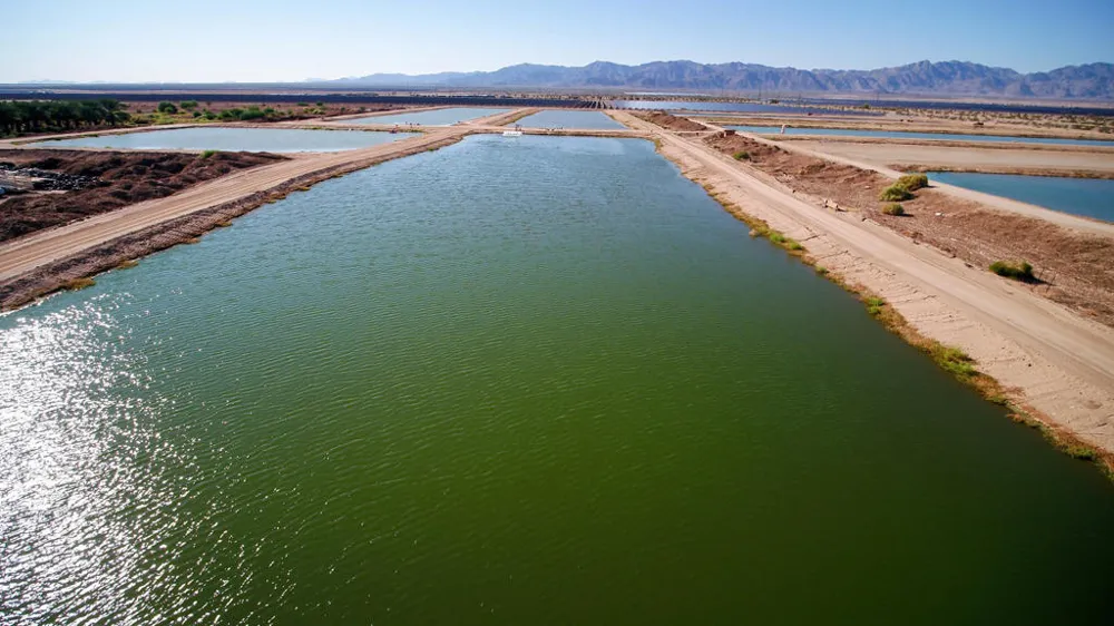 24511 Rice Rd Desert Center, CA 92239
