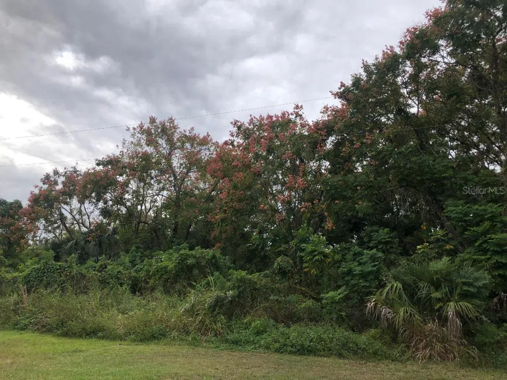 VIRGINIA DRIVE Altamonte Springs, FL 32714