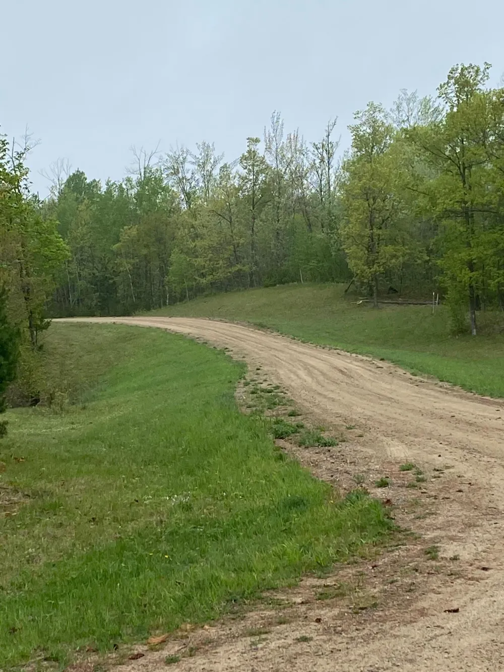 LOT 17 Bear Tract Lane NE Longville, MN 56655