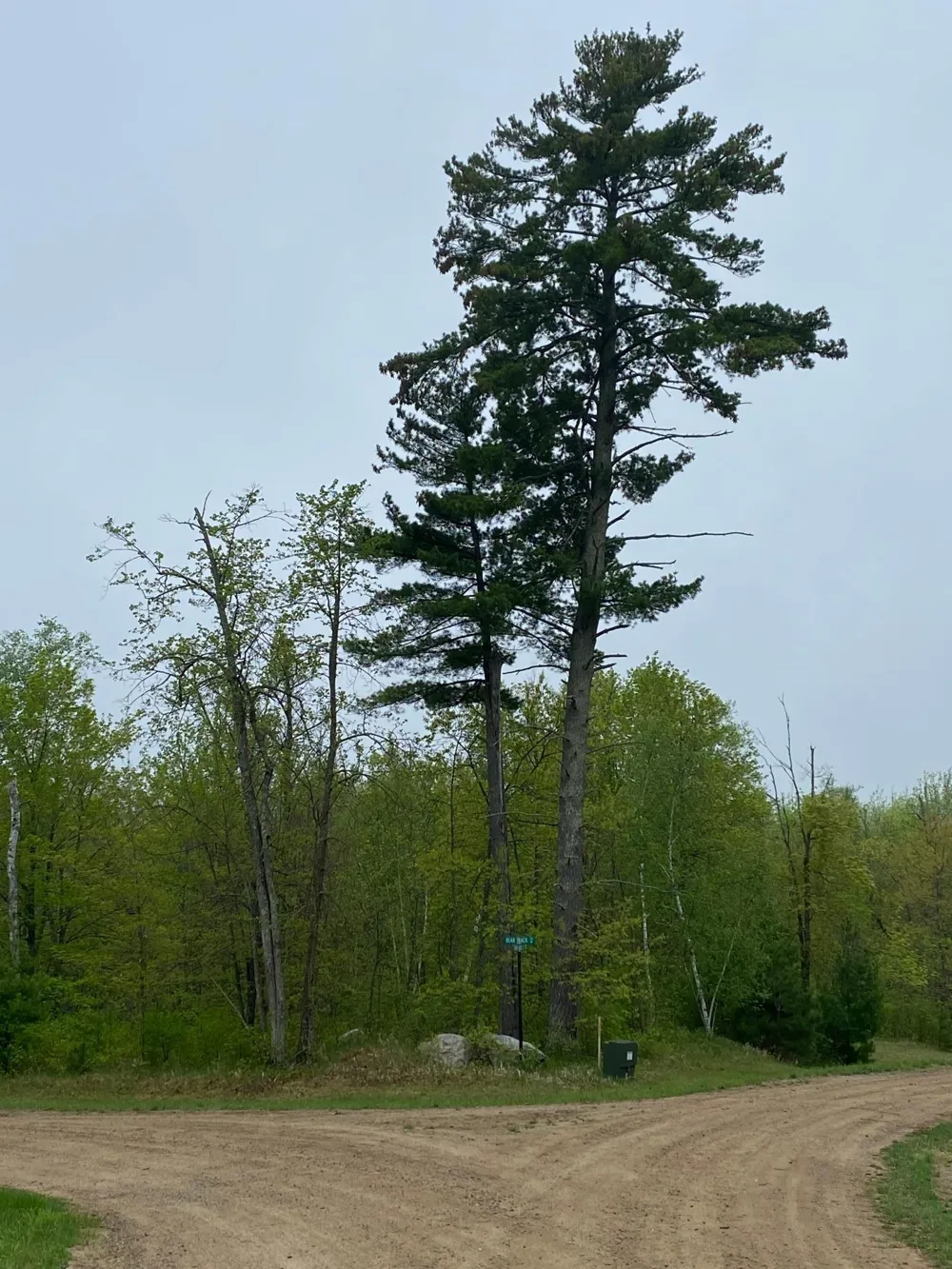 LOT 17 Bear Tract Lane NE Longville, MN 56655