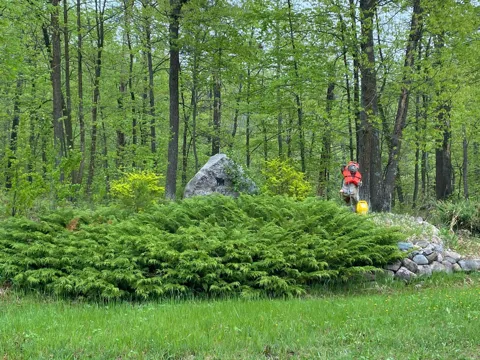 LOT 16 Bear Tract Lane NE