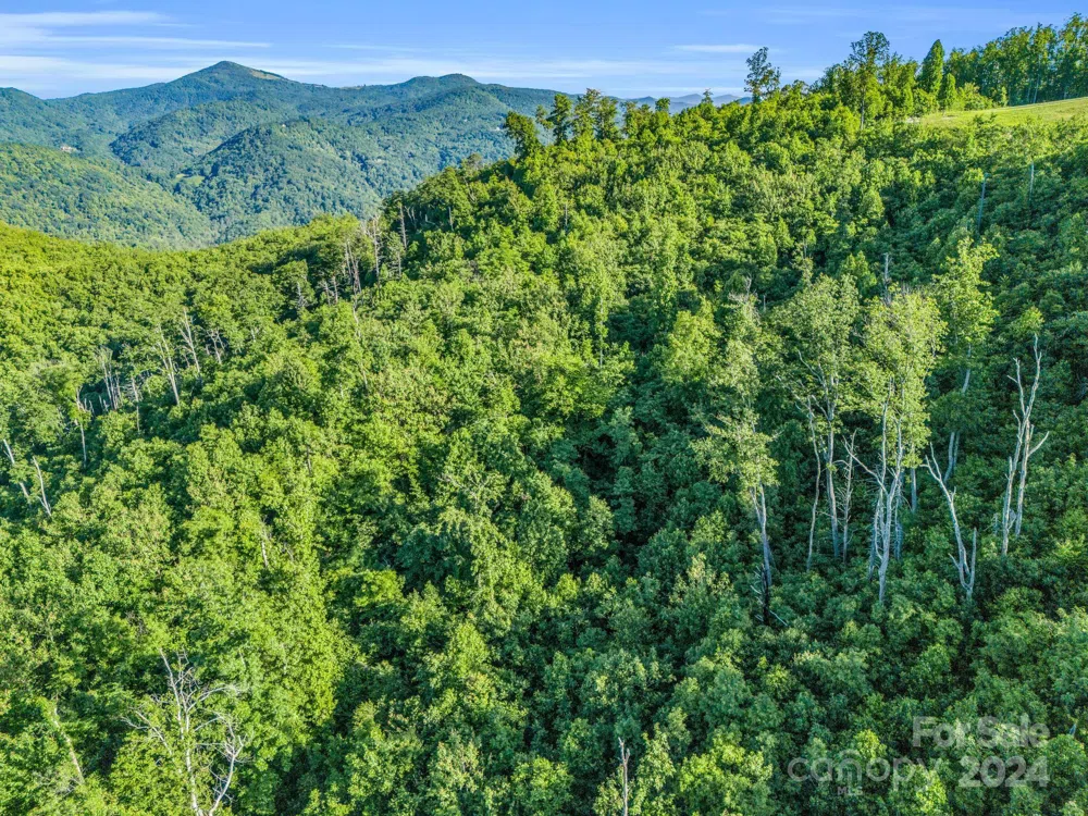 0000 H and H Trail Bat Cave, NC 28710