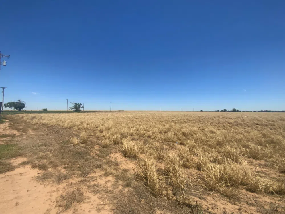 912 N Main Street Lockney, TX 79241
