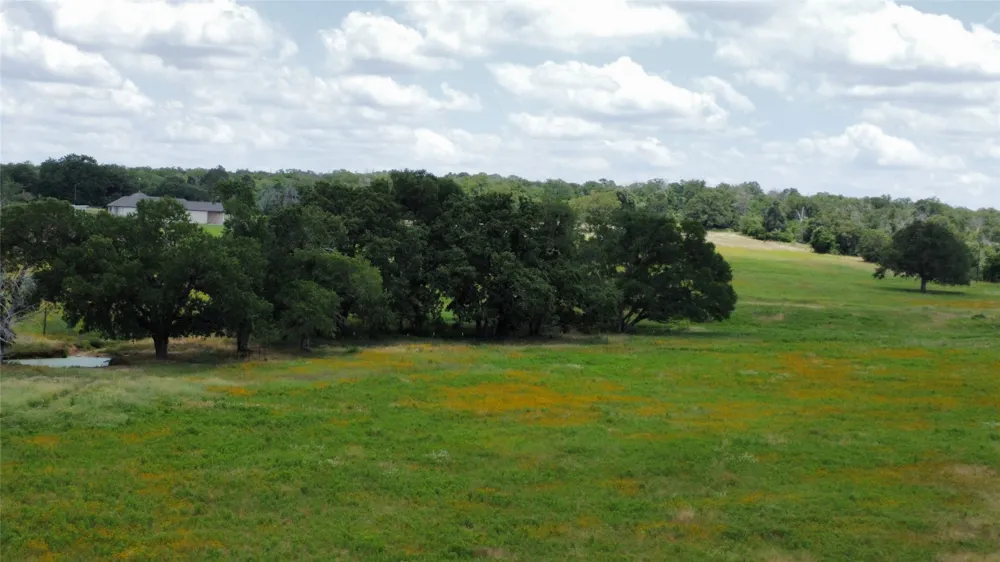 174 Wilson Road #A Elgin, TX 78621