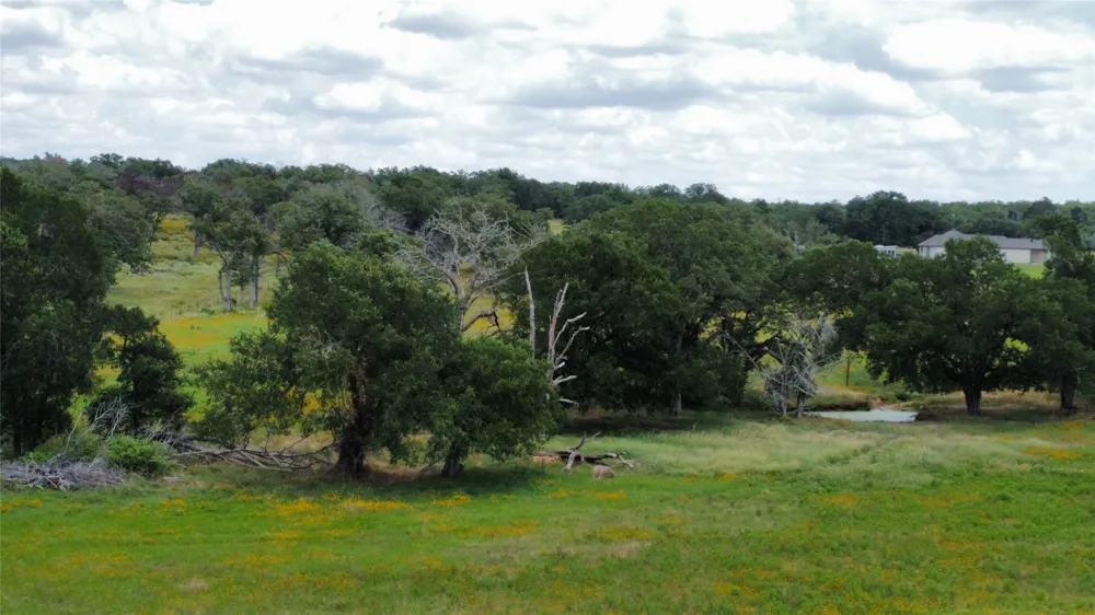 174 Wilson Road #A Elgin, TX 78621