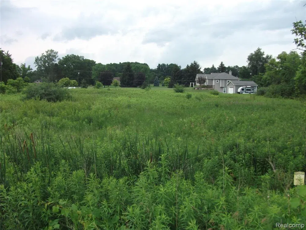 KATHLEEN LK ROAD Brandon Charter Township, MI 48462