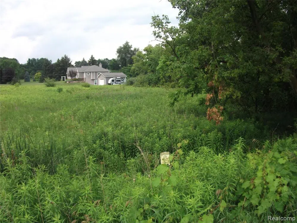 KATHLEEN LK ROAD Brandon Charter Township, MI 48462
