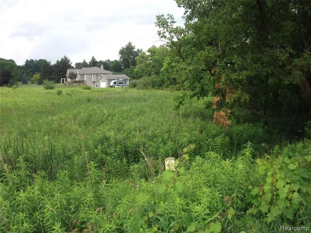 KATHLEEN LK ROAD Brandon Charter Township, MI 48462
