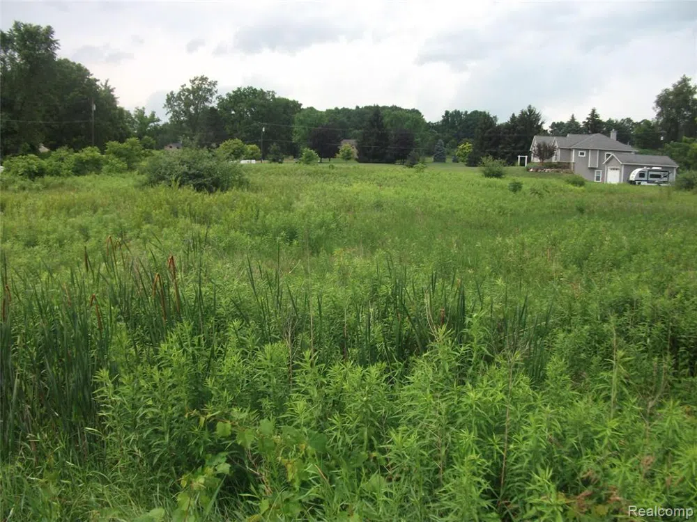 KATHLEEN LK ROAD Brandon Charter Township, MI 48462