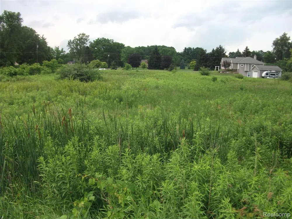 KATHLEEN LK ROAD Brandon Charter Township, MI 48462