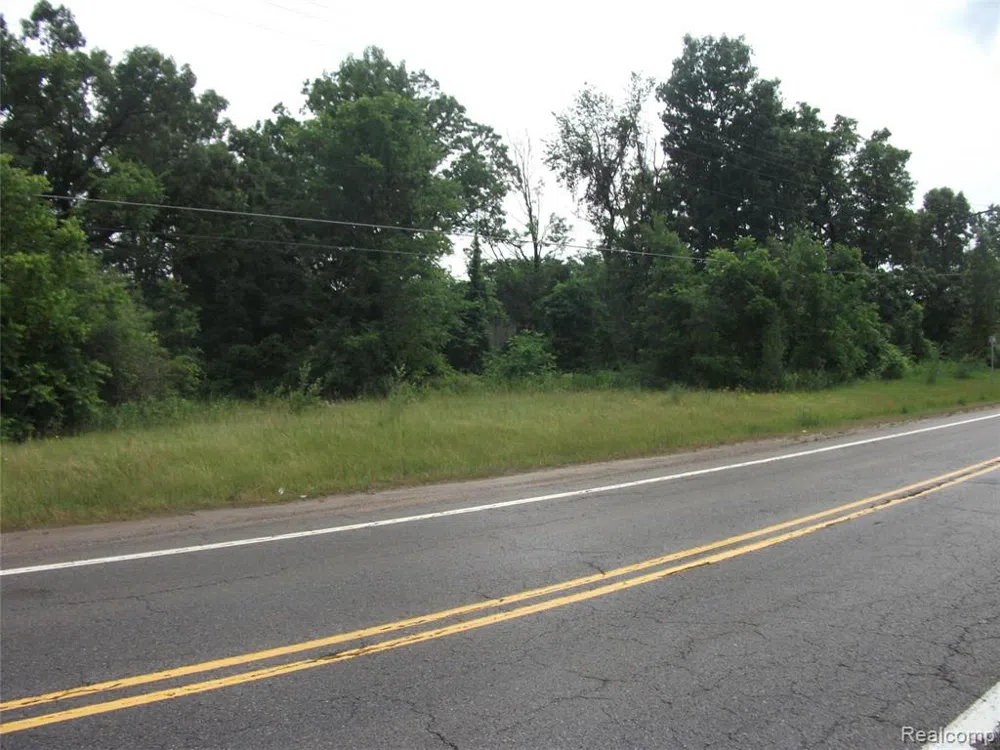 KATHLEEN LK ROAD Brandon Charter Township, MI 48462
