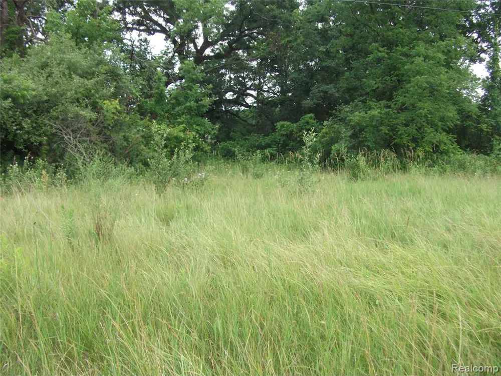 KATHLEEN LK ROAD Brandon Charter Township, MI 48462