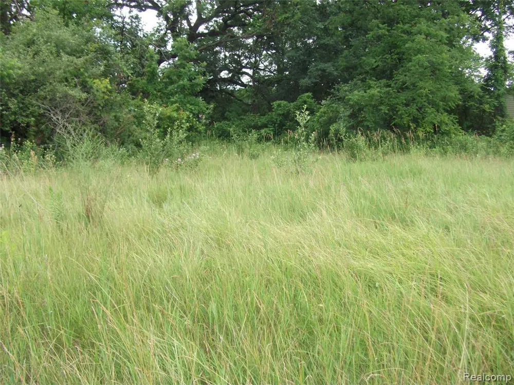 KATHLEEN LK ROAD Brandon Charter Township, MI 48462