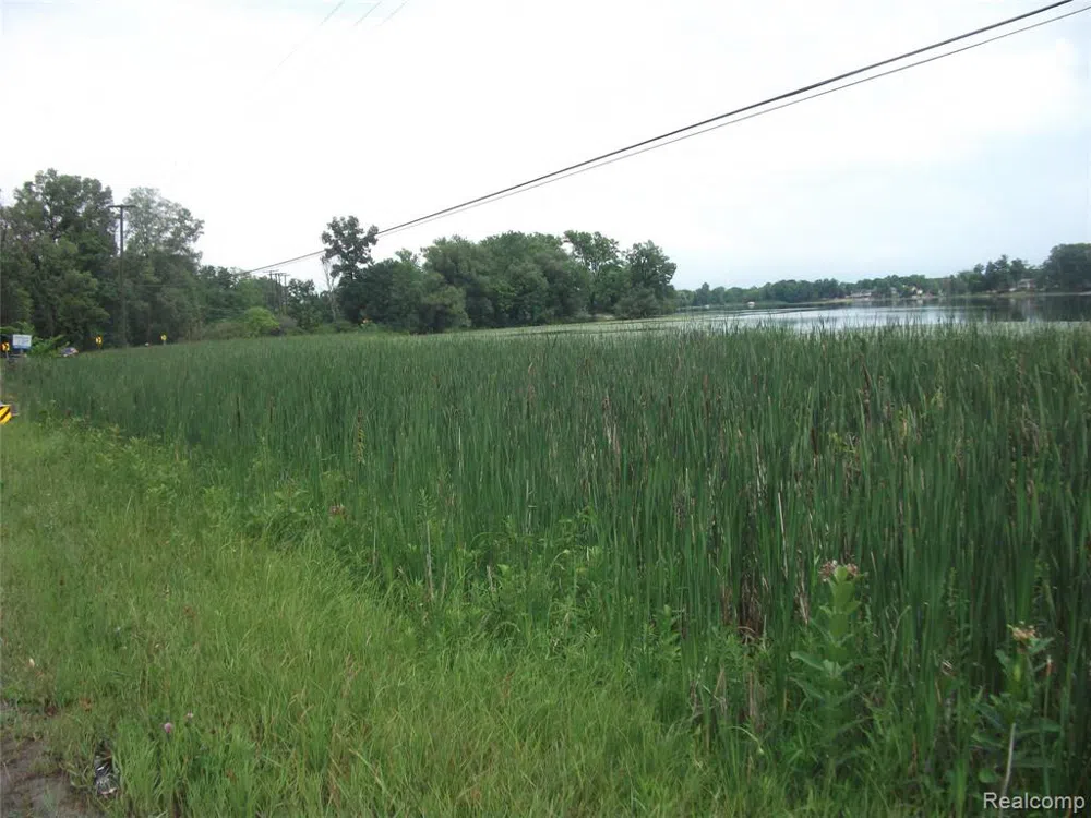 KATHLEEN LK ROAD Brandon Charter Township, MI 48462