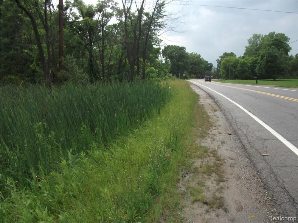 KATHLEEN LK ROAD Brandon Charter Township, MI 48462