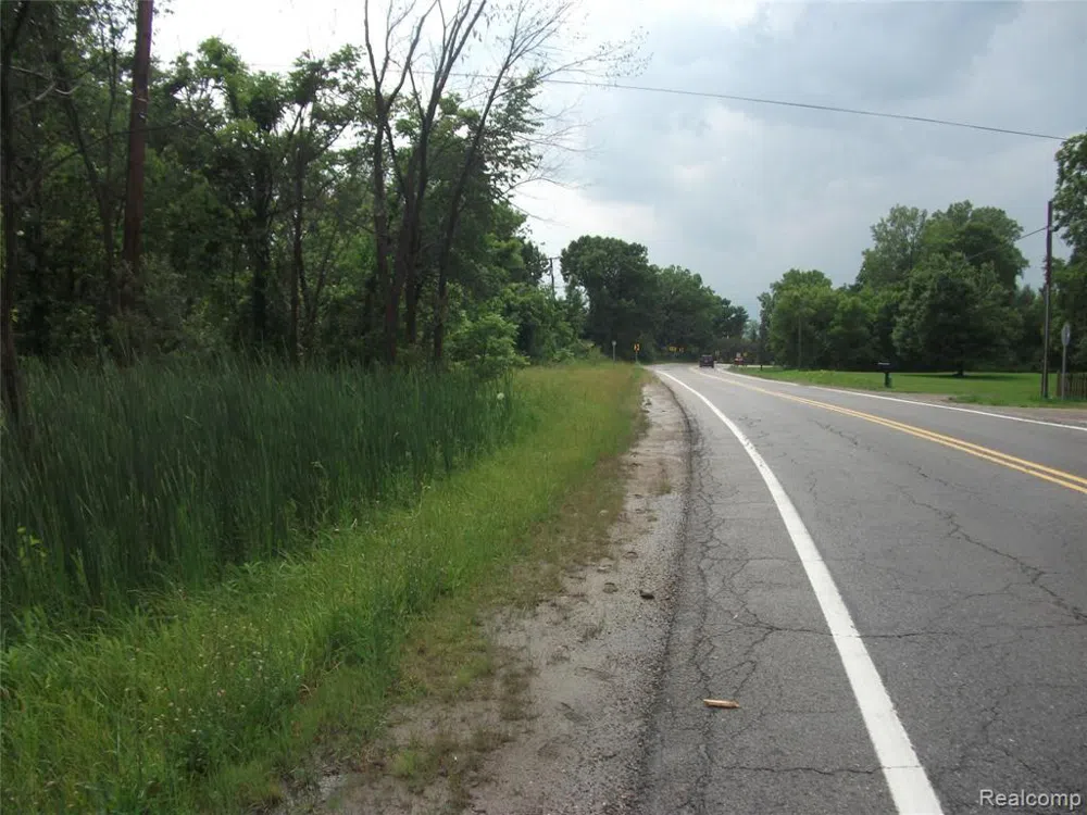 KATHLEEN LK ROAD Brandon Charter Township, MI 48462