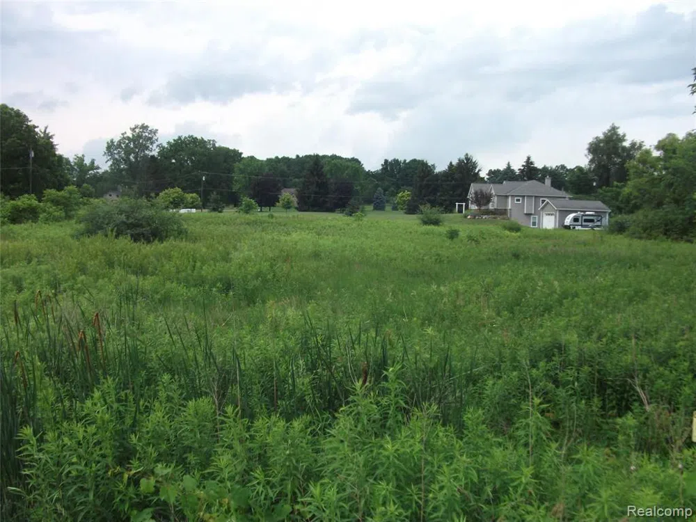 KATHLEEN LK ROAD Brandon Charter Township, MI 48462