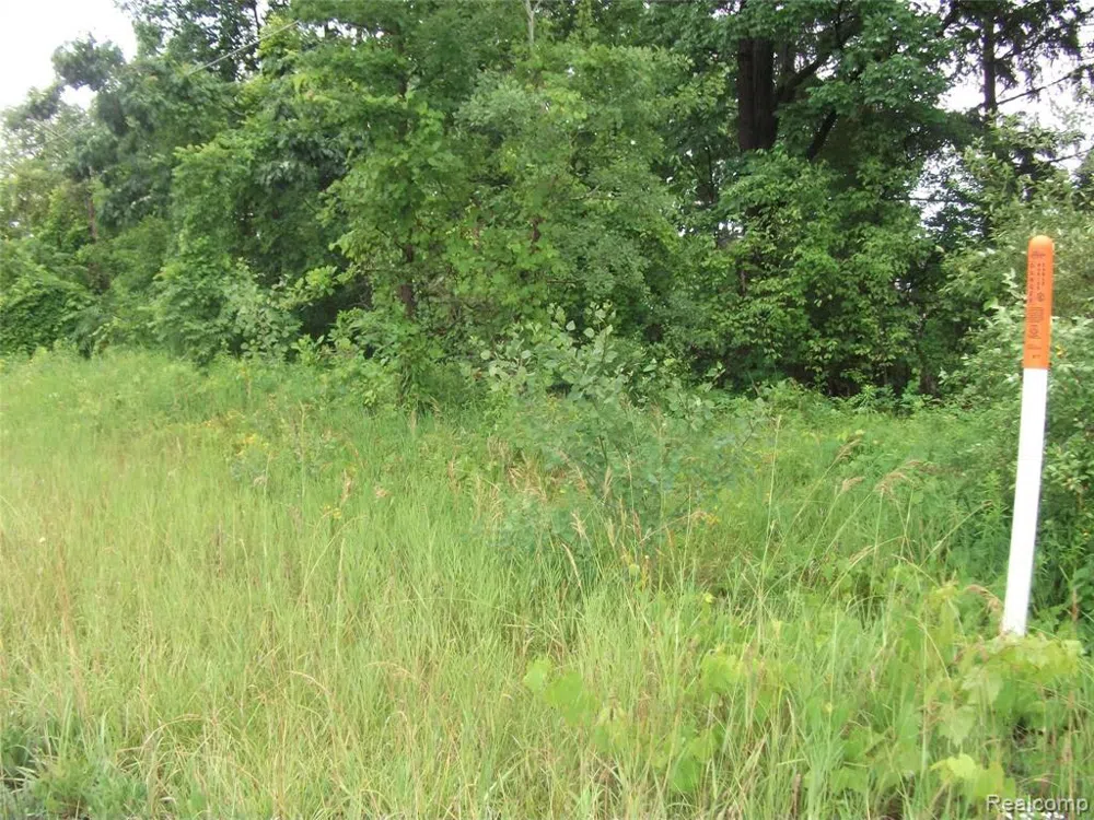 SEYMOUR LAKE DR Brandon Charter Township, MI 48462