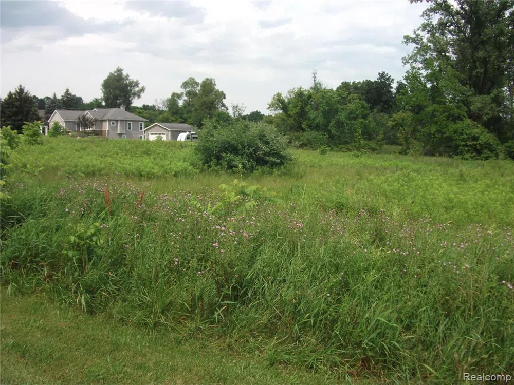 SEYMOUR LAKE DR Brandon Charter Township, MI 48462
