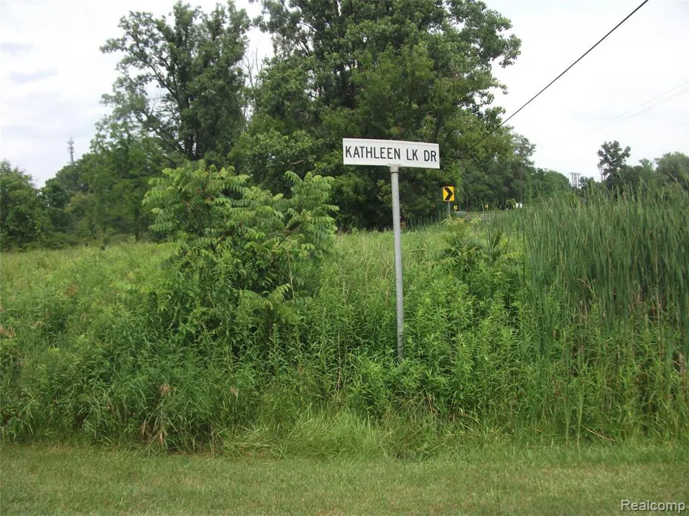 SEYMOUR LAKE DR Brandon Charter Township, MI 48462