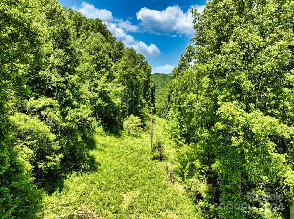 3065 Piney Hill Road Burnsville, NC 28714