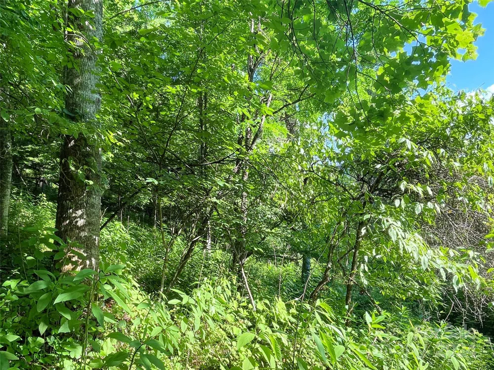 3065 Piney Hill Road Burnsville, NC 28714