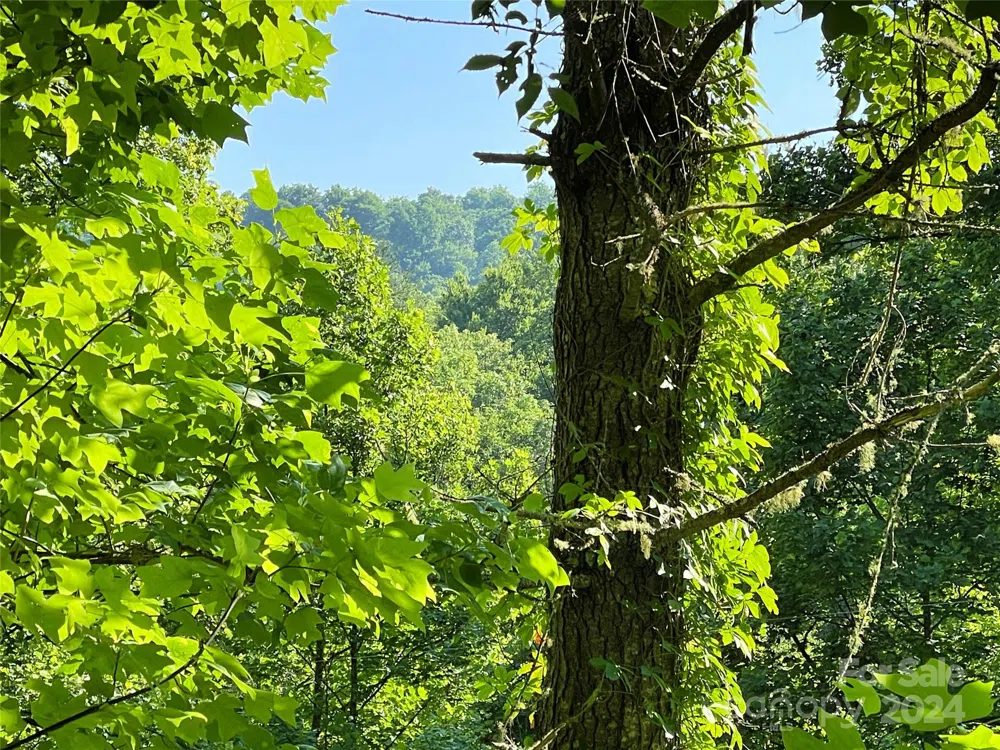 3065 Piney Hill Road Burnsville, NC 28714