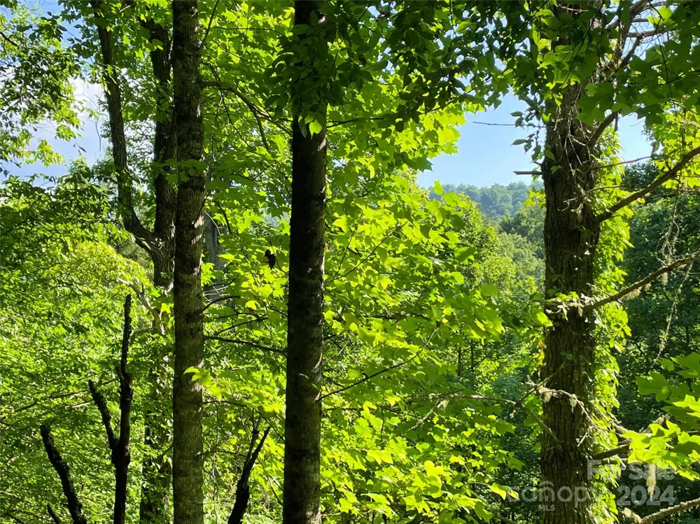 3065 Piney Hill Road Burnsville, NC 28714