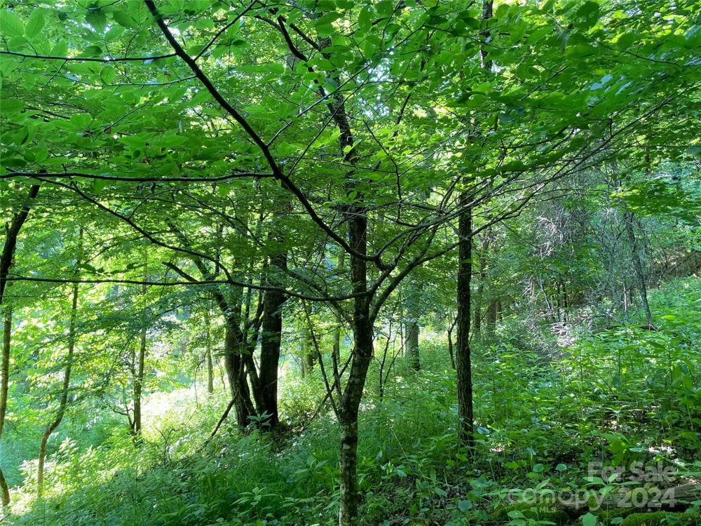 3065 Piney Hill Road Burnsville, NC 28714