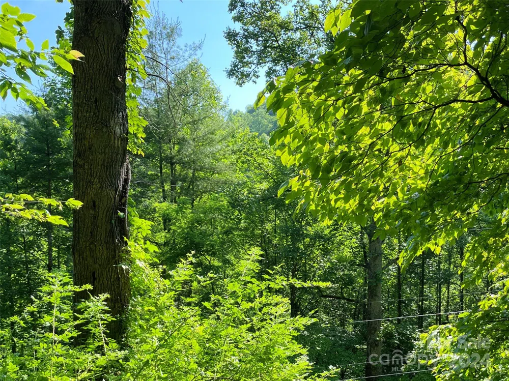 3065 Piney Hill Road Burnsville, NC 28714