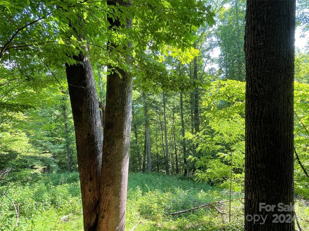 3065 Piney Hill Road Burnsville, NC 28714