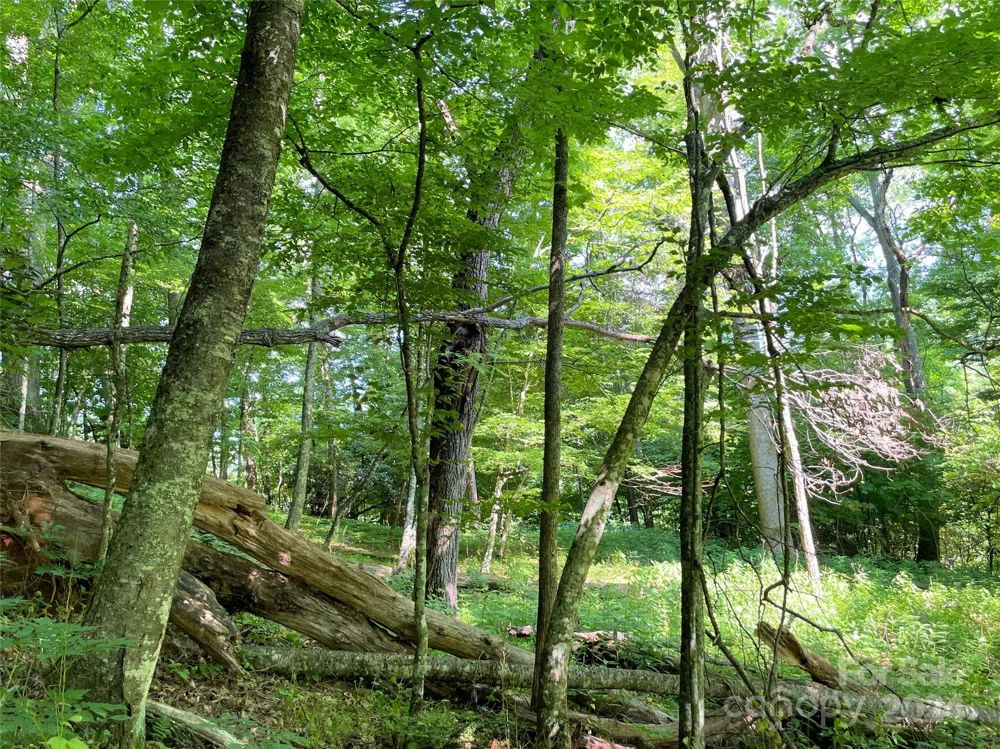 3065 Piney Hill Road Burnsville, NC 28714