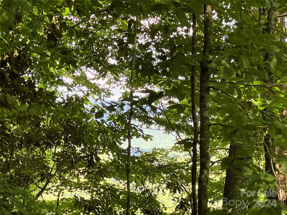 3065 Piney Hill Road Burnsville, NC 28714