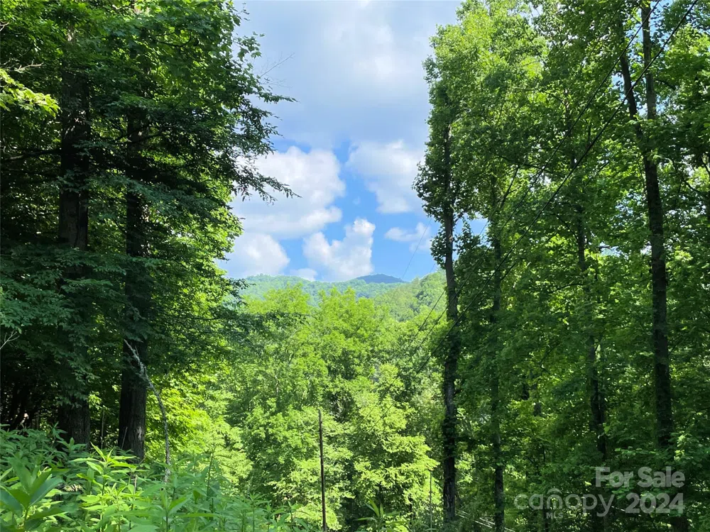 3065 Piney Hill Road Burnsville, NC 28714