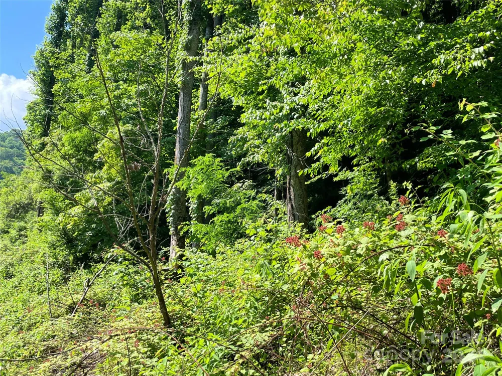 3065 Piney Hill Road Burnsville, NC 28714