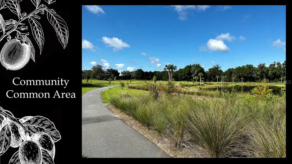 5163 SW 125TH CIRCLE Archer, FL 32618