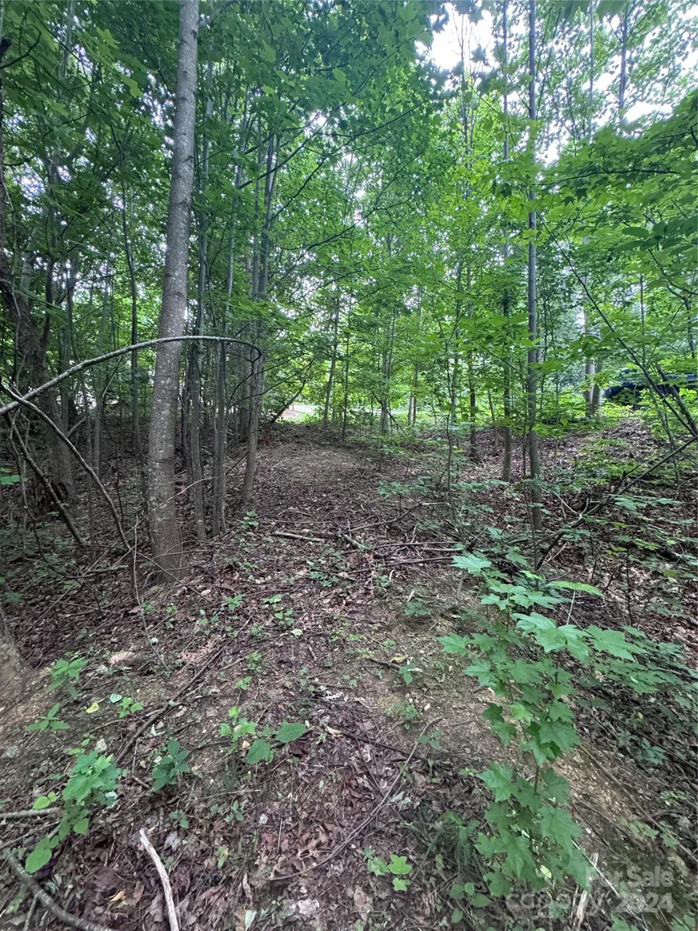 0 Holland Drive #18 Columbus, NC 28722