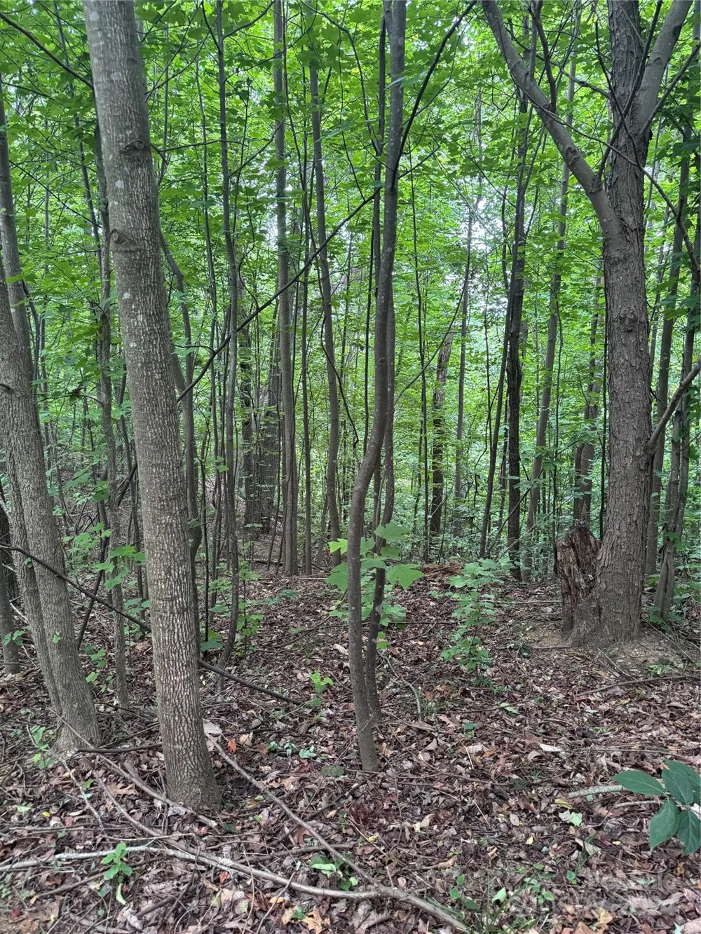 0 Holland Drive #18 Columbus, NC 28722