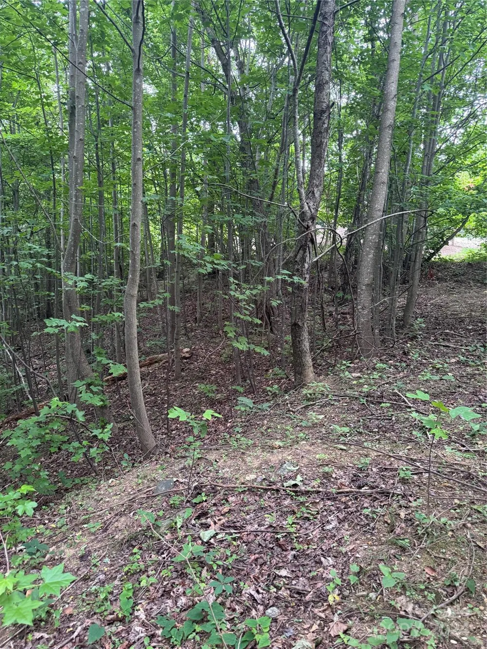 0 Holland Drive #18 Columbus, NC 28722