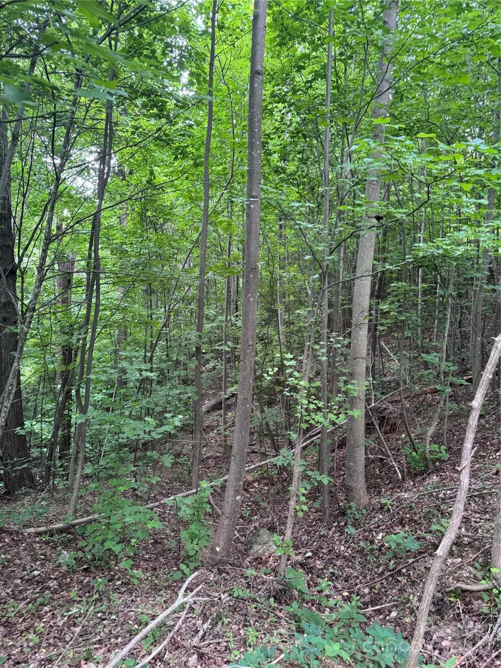0 Holland Drive #18 Columbus, NC 28722