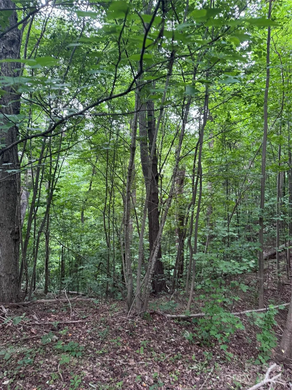 0 Holland Drive #18 Columbus, NC 28722