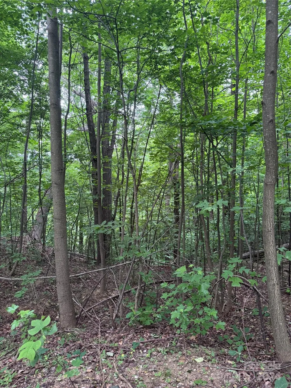 0 Holland Drive #18 Columbus, NC 28722