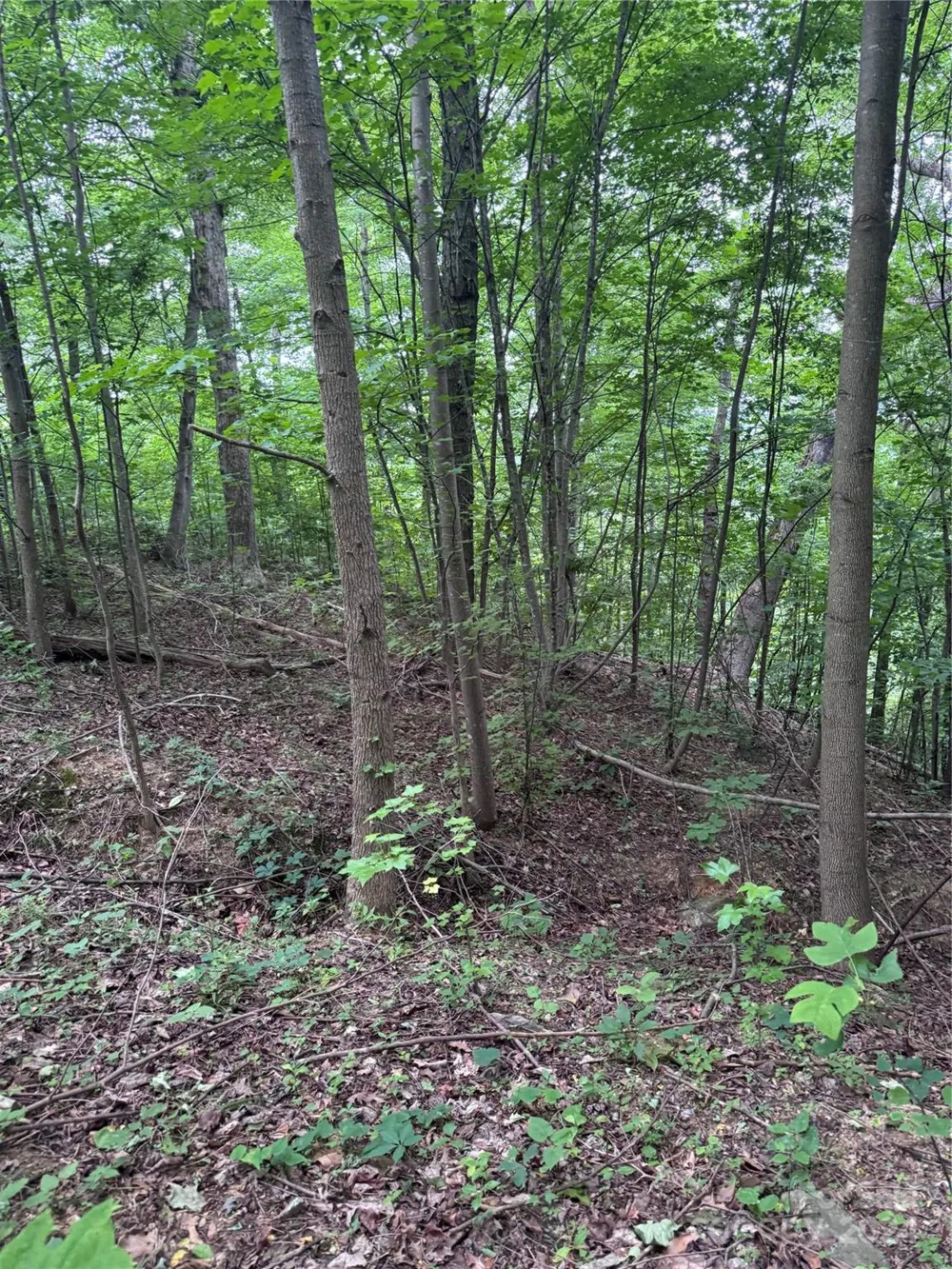 0 Holland Drive #18 Columbus, NC 28722