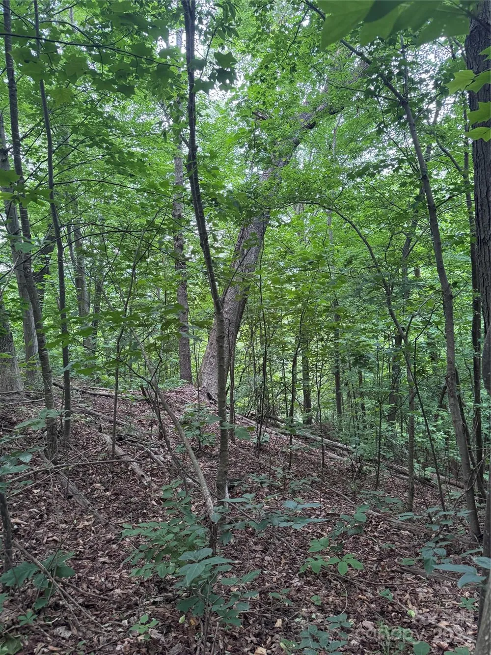 0 Holland Drive #18 Columbus, NC 28722