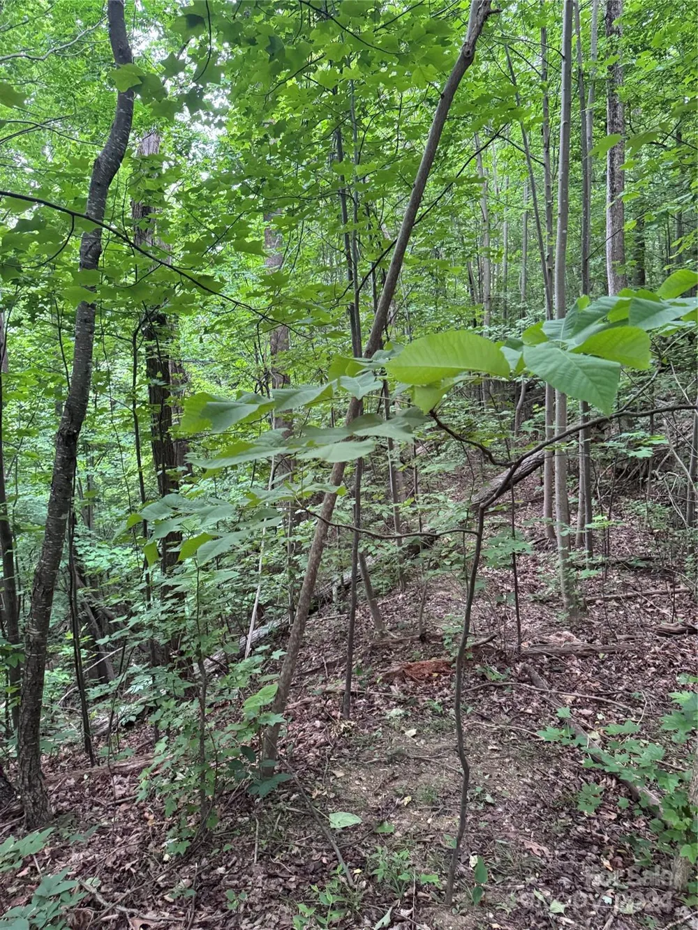 0 Holland Drive #18 Columbus, NC 28722