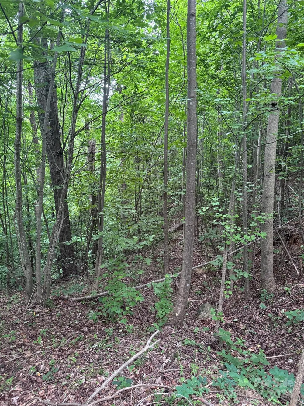 0 Holland Drive #18 Columbus, NC 28722